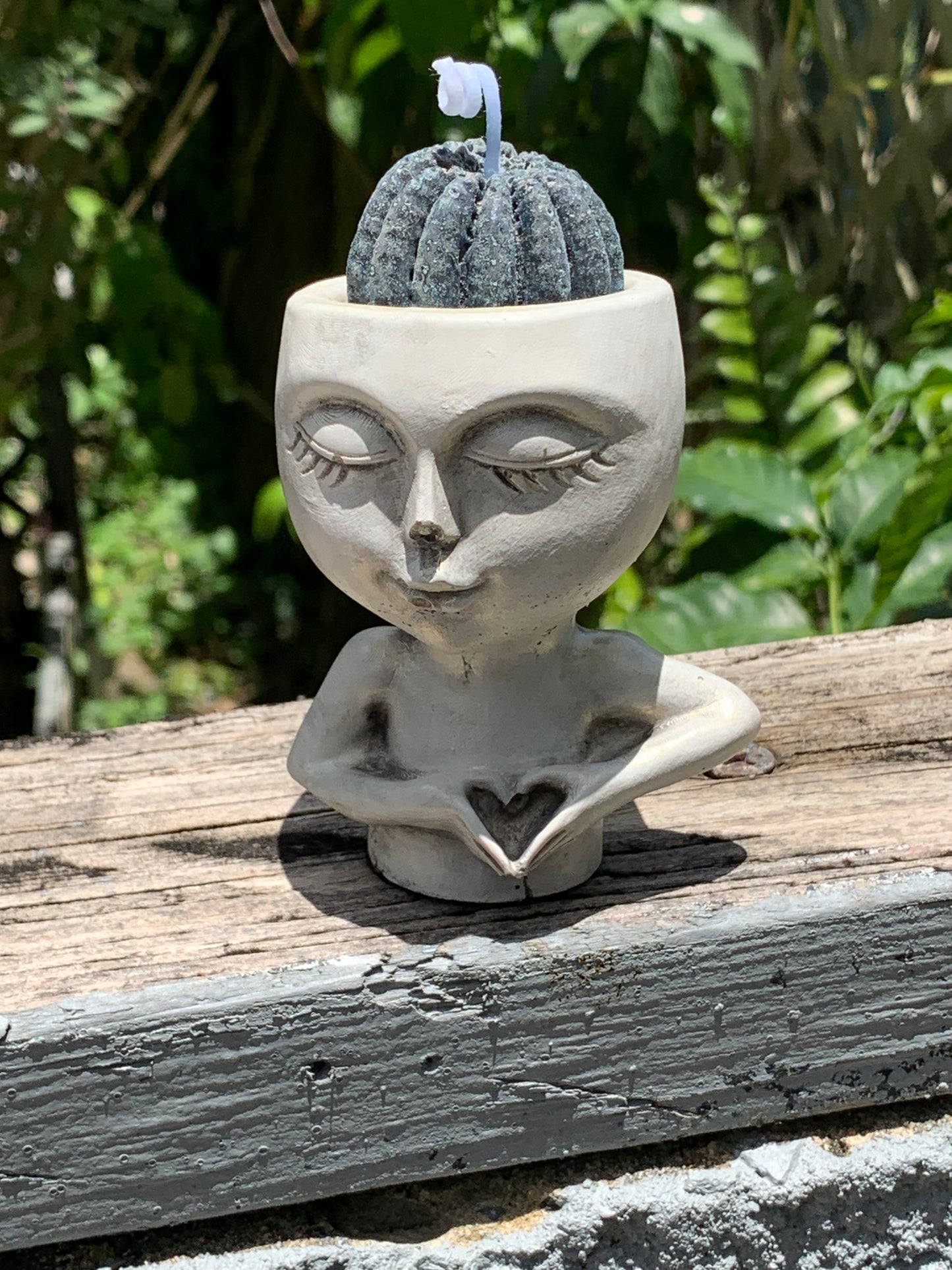 Vela de Cactus