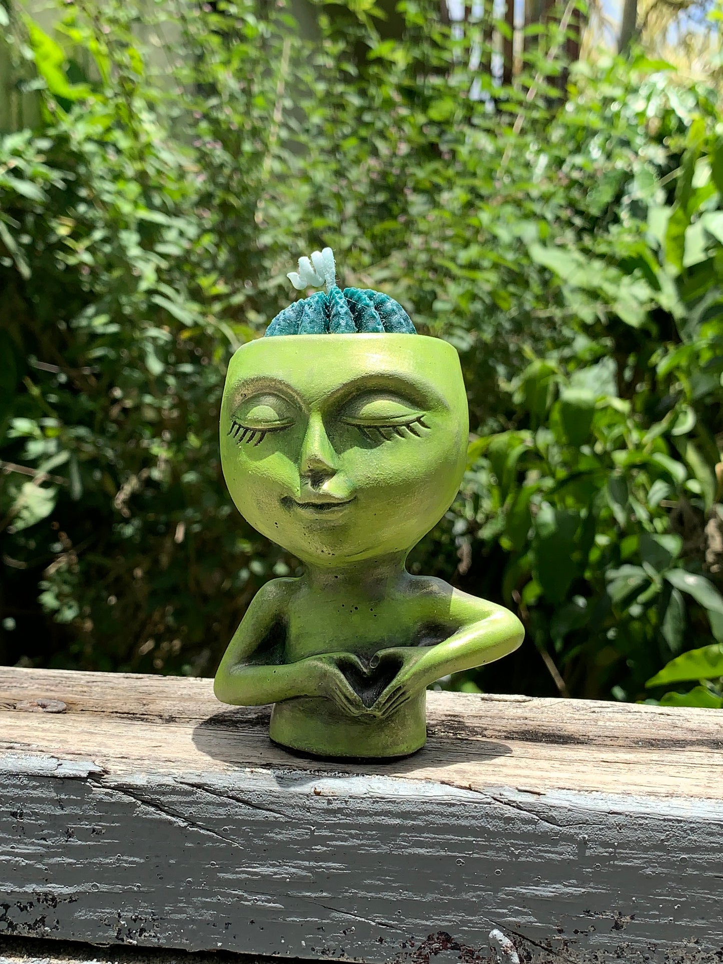 Vela de Cactus