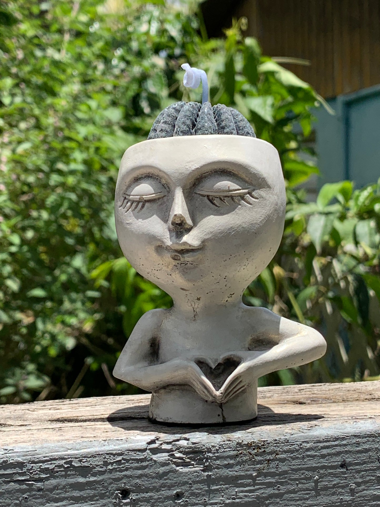 Vela de Cactus